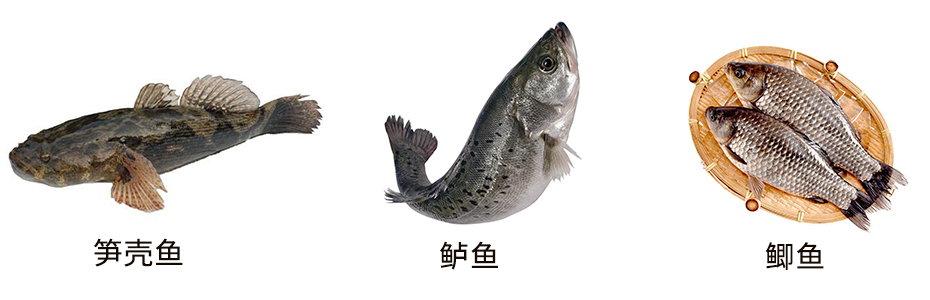 1671257799786233.jpg 未標題444-1.jpg