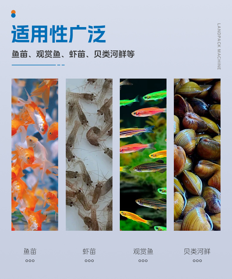 1729476101385583.jpg 3808半自動(dòng)背封袋+齒輪泵灌液體500ML+鏈斗下料+魚+水+充氣+郭紅-詳情頁_03.jpg