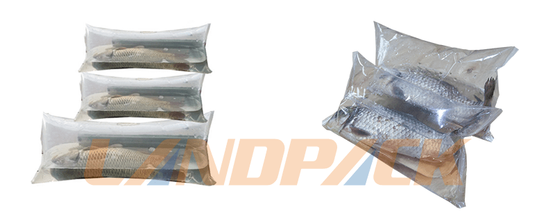 活魚包裝樣品 活魚包裝樣品